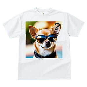 ` TVc  j[NfUCfB[X t@  t vg lJWA 킢 lԗp Mtg I ҏ΍ TOX `