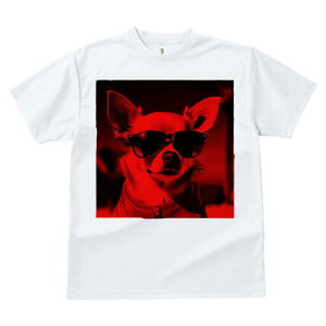 ` TVc  j[NfUCfB[X t@  t vg lJWA 킢 lԗp Mtg I ҏ΍ TOX `