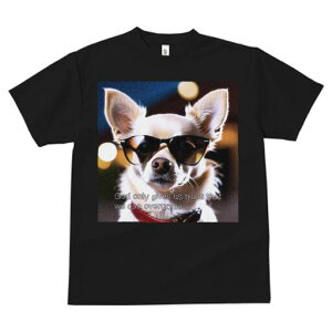 ` TVc  j[NfUCfB[X t@  t vg lJWA 킢 lԗp Mtg I ҏ΍ TOX `