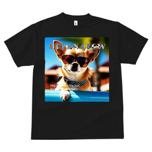 ` TVc  j[NfUCfB[X t@  t vg lJWA 킢 lԗp Mtg I ҏ΍ TOX `  ][g oP[V