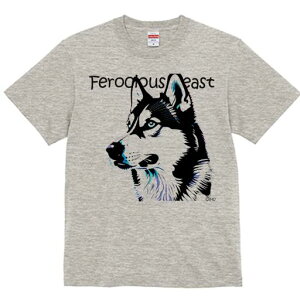 nXL[ TVc  j[NfUCfB[X t@  t vg lJWA 킢 lԗp Mtg I ҏ΍ nXL[