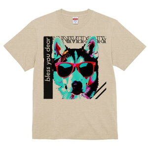 VxAnXL[ TVc  j[NfUCfB[X t@  t vg lJWA 킢 lԗp Mtg I ҏ΍ TOX VxAnXL[