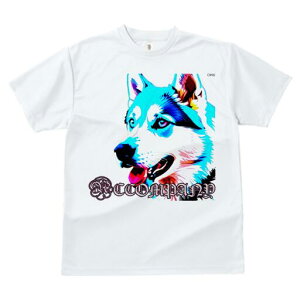 nXL[ TVc  j[NfUCfB[X t@  t vg lJWA 킢 lԗp Mtg I ҏ΍ nXL[