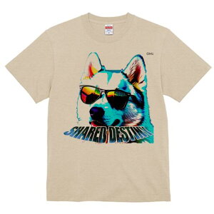 nXL[ TVc  j[NfUCfB[X t@  t vg lJWA 킢 lԗp Mtg I ҏ΍ TOX nXL[