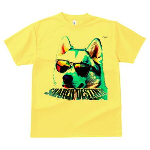 nXL[ TVc  j[NfUCfB[X t@  t vg lJWA 킢 lԗp Mtg I ҏ΍ TOX nXL[