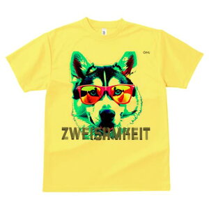 nXL[ TVc  j[NfUCfB[X t@  t vg lJWA 킢 lԗp Mtg I ҏ΍ TOX nXL[