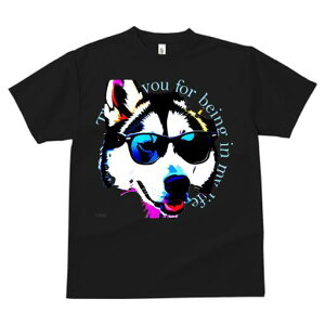 nXL[ TVc  j[NfUCfB[X t@  t vg lJWA 킢 lԗp Mtg I ҏ΍ TOX nXL[