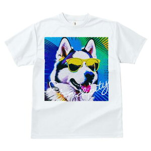 nXL[ TVc  j[NfUCfB[X t@  t vg lJWA 킢 lԗp Mtg I ҏ΍ TOX nXL[  ][g