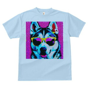 VxAnXL[ TVc  j[NfUCfB[X t@  t vg lJWA 킢 lԗp Mtg I ҏ΍ TOX VxAnXL[