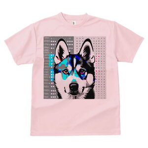 nXL[ TVc  j[NfUCfB[X t@  t vg lJWA 킢 lԗp Mtg I ҏ΍ nXL[