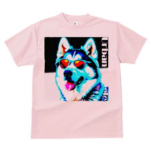 nXL[ TVc  j[NfUCfB[X t@  t vg lJWA 킢 lԗp Mtg I ҏ΍ TOX nXL[