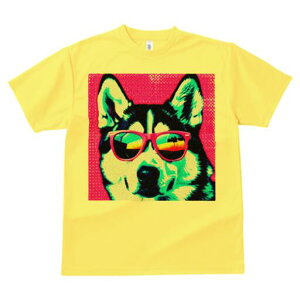 nXL[ TVc  j[NfUCfB[X t@  t vg lJWA 킢 lԗp Mtg I ҏ΍ TOX nXL[ sN