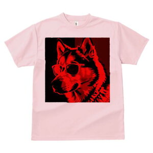 nXL[ TVc  j[NfUCfB[X t@  t vg lJWA 킢 lԗp Mtg I ҏ΍ TOX nXL[