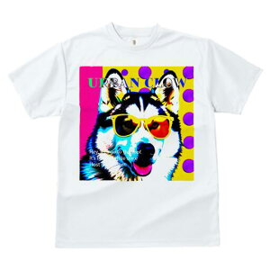 VxAnXL[ TVc  j[NfUCfB[X t@  t vg lJWA 킢 lԗp Mtg I ҏ΍ TOX VxAnXL[ |b