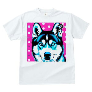 nXL[ TVc  j[NfUCfB[X t@  t vg lJWA 킢 lԗp Mtg I ҏ΍ nXL[