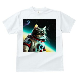 TVc  j[NfUCfB[X t@  t vg lJWA 킢 lԗp Mtg I ҏ΍ F F Xy[XLbg L