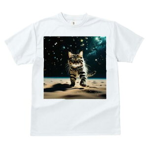 TVc  j[NfUCfB[X t@  t vg lJWA 킢 lԗp Mtg I ҏ΍ F  L 