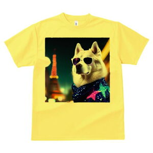 nXL[ TVc  j[NfUCfB[X t@  t vg lJWA 킢 lԗp Mtg I ҏ΍ TOX nXL[ i 