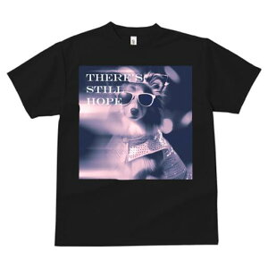 VFbghV[vhbO TVc  j[NfUCfB[X t@  t vg lJWA 킢 lԗp Mtg I ҏ΍ TOX VFbghV