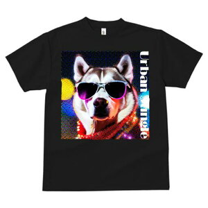 nXL[ TVc  j[NfUCfB[X t@  t vg lJWA 킢 lԗp Mtg I ҏ΍ TOX nXL[