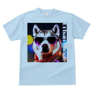 nXL[ TVc  j[NfUCfB[X t@  t vg lJWA 킢 lԗp Mtg I ҏ΍ TOX nXL[