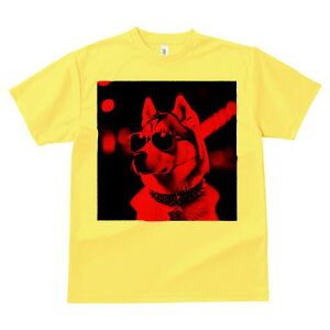 VxAnXL[ TVc  j[NfUCfB[X t@  t vg lJWA 킢 lԗp Mtg I ҏ΍ TOX VxAnXL[ 