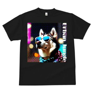 VxAnXL[ TVc  j[NfUCfB[X t@  t vg lJWA 킢 lԗp Mtg I ҏ΍ TOX VxAnXL[ p[