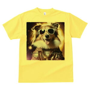 VFbghV[vhbO TVc  j[NfUCfB[X t@  t vg lJWA 킢 lԗp Mtg I ҏ΍ TOX VFbghV