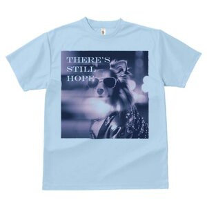 VFbghV[vhbO TVc  j[NfUCfB[X t@  t vg lJWA 킢 lԗp Mtg I ҏ΍ TOX VFbghV