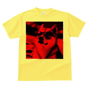 Č TVc  j[NfUCfB[X t@  t vg lJWA 킢 lԗp Mtg I ҏ΍ TOX Č