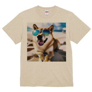 Č TVc  j[NfUCfB[X t@  t vg lJWA 킢 lԗp Mtg I ҏ΍ TOX Č r[`