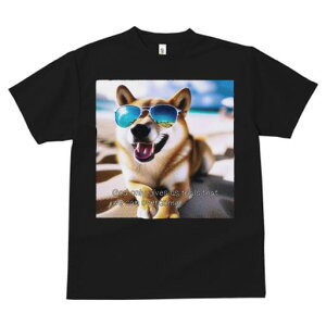 Č TVc  j[NfUCfB[X t@  t vg lJWA 킢 lԗp Mtg I ҏ΍ TOX Č r[`