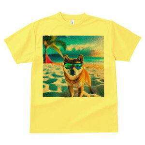 Č TVc  j[NfUCfB[X t@  t vg lJWA 킢 lԗp Mtg I ҏ΍ r[` Č TOX V̖