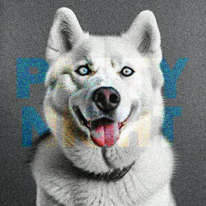 �V�x���A���n�X�L�[ �N�b�V�����J�o�[ 45×45cm �A�j�}���� ������� ���� �N�b�V�����{�̕t�� �����`