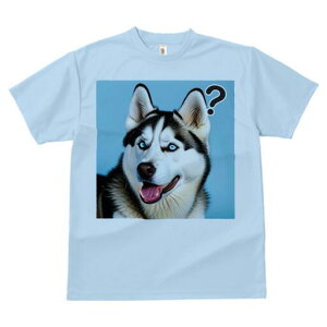 VxAnXL[ TVc  j[NfUCfB[X t@  t vg lJWA 킢 lԗp Mtg I ҏ΍ ^╄ VxAnXL[