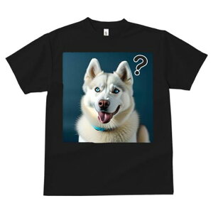 nXL[ TVc  j[NfUCfB[X t@  t vg lJWA 킢 lԗp Mtg I ҏ΍ nXL[