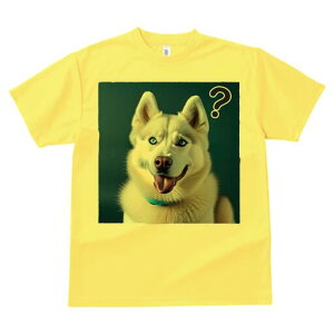 nXL[ TVc  j[NfUCfB[X t@  t vg lJWA 킢 lԗp Mtg I ҏ΍ nXL[