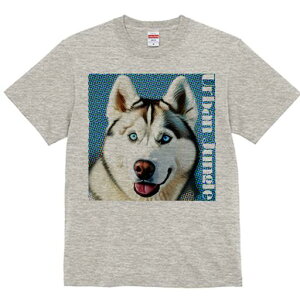 VxAnXL[ TVc  j[NfUCfB[X t@  t vg lJWA 킢 lԗp Mtg I ҏ΍ VxAnXL[