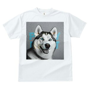 VxAnXL[ TVc  j[NfUCfB[X t@  t vg lJWA 킢 lԗp Mtg I ҏ΍ VxAnXL[