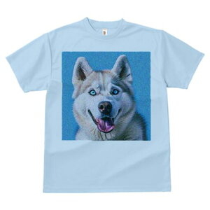 nXL[ TVc  j[NfUCfB[X t@  t vg lJWA 킢 lԗp Mtg I ҏ΍ nXL[