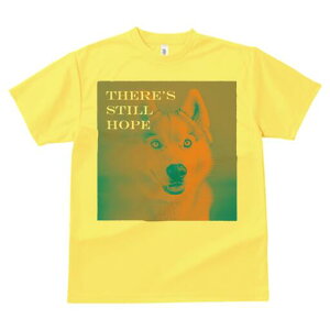 nXL[ TVc  j[NfUCfB[X t@  t vg lJWA 킢 lԗp Mtg I ҏ΍ nXL[