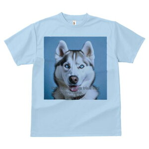 VxAnXL[ TVc  j[NfUCfB[X t@  t vg lJWA 킢 lԗp Mtg I ҏ΍ VxAnXL[