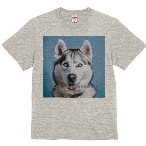 VxAnXL[ TVc  j[NfUCfB[X t@  t vg lJWA 킢 lԗp Mtg I ҏ΍ VxAnXL[