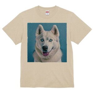 nXL[ TVc  j[NfUCfB[X t@  t vg lJWA 킢 lԗp Mtg I ҏ΍ nXL[