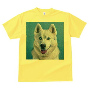 nXL[ TVc  j[NfUCfB[X t@  t vg lJWA 킢 lԗp Mtg I ҏ΍ nXL[