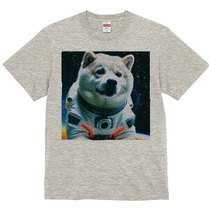 Č TVc  j[NfUCfB[X t@  t vg lJWA 킢 lԗp Mtg I ҏ΍ F Č F Xy[X