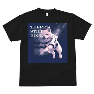 Č TVc  j[NfUCfB[X t@  t vg lJWA 킢 lԗp Mtg I ҏ΍ F Č F