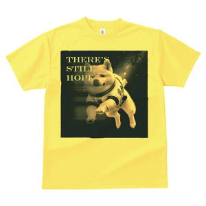 Č TVc  j[NfUCfB[X t@  t vg lJWA 킢 lԗp Mtg I ҏ΍ F Č F