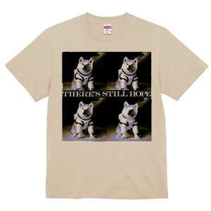 Hc TVc  j[NfUCfB[X t@  t vg lJWA 킢 lԗp Mtg I ҏ΍ F Hc