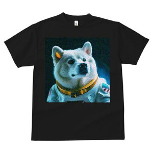 Č TVc  j[NfUCfB[X t@  t vg lJWA 킢 lԗp Mtg I ҏ΍ F Č AJ